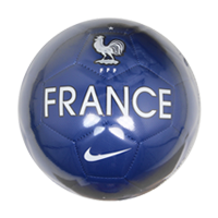 フランス 2014 プレステージ　4号球