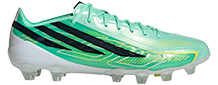 F50 ELITE モデル