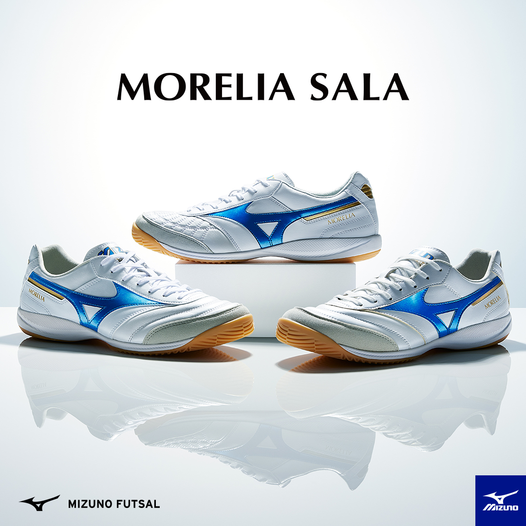 【引取り限定】ミズノ ブルーインパルス スキー板 【希少】 引取り限定】ミズノ ブルーインパルス スキー板 【希少】