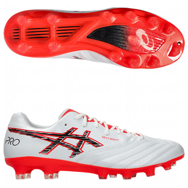 DSライト X-FLY PRO 3

1101a072-105
ホワイト×フラッシュレッド