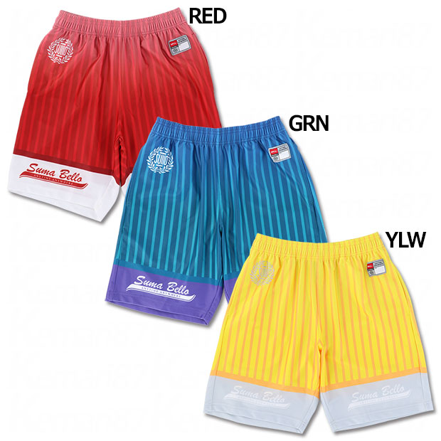 GRADATION STRIPE SHORTS プラクティスショーツ

1551301055
