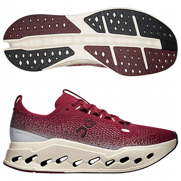 Cloudsurfer Max クラウドサーファー マックス オン ランニング

3mf30434829-siedew
シエナ×デュー