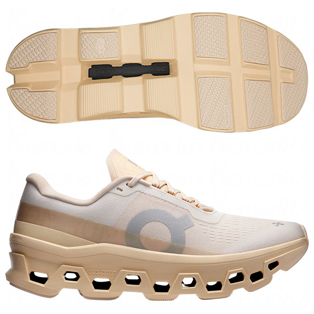 レディース Cloudmonster クラウドモンスター オン ランニング

3wf30484910-dewblo
デュー×ブロンド