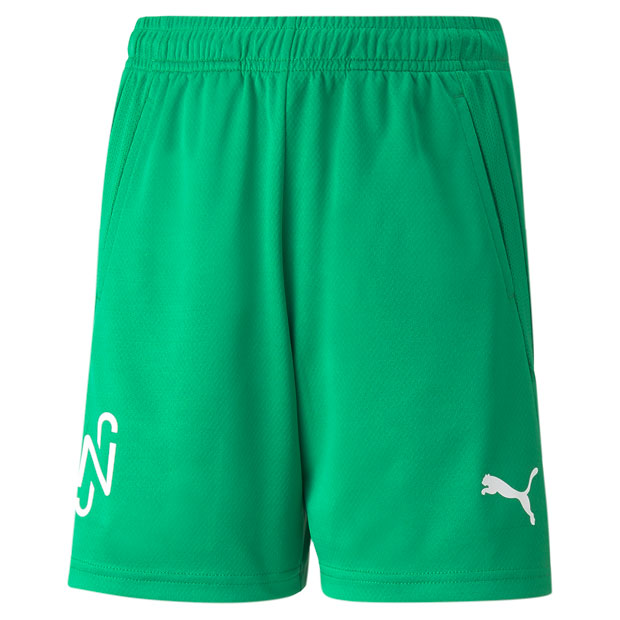 ジュニア NJR COPA ショーツ

605571-07
ジェリービーン