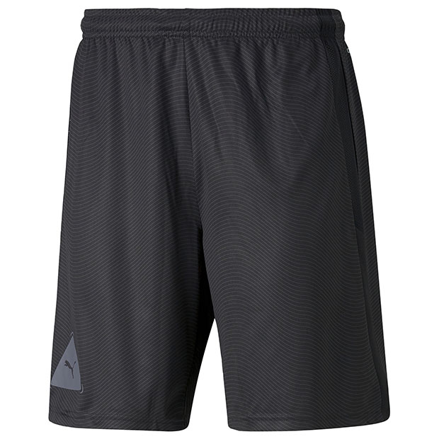 FUSSBALL PARK ショーツ

657789-05
プーマブラック