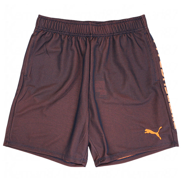 FUSSBALL HYBRID ニットショーツ

658012-02
パリジャンナイト