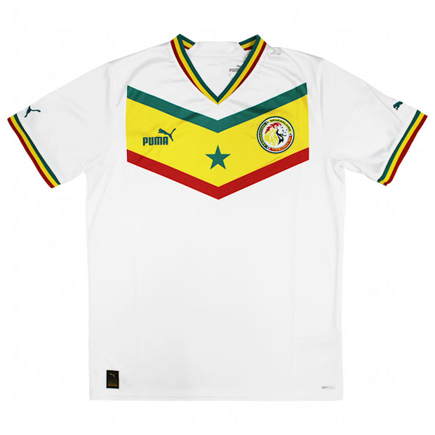 セネガル代表 2022 ホーム 半袖レプリカユニフォーム

765694-01
