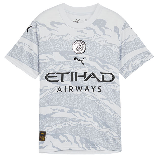 Amazon.com : Nike Manchester City Mens Home Stadium Soccer