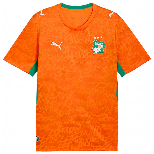 コートジボワール代表 2026 ホーム 半袖レプリカユニフォーム

783182-01
