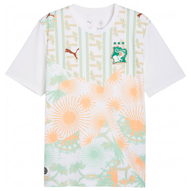 コートジボワール代表 2026 アウェイ 半袖レプリカユニフォーム

783188-02
