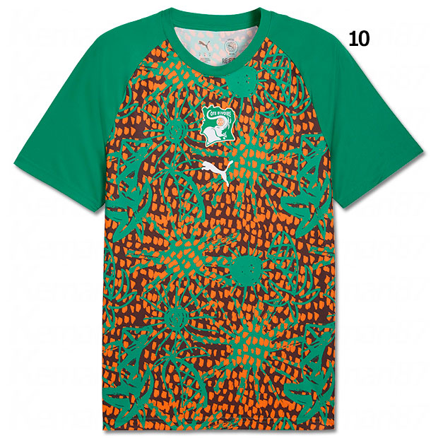 コートジボワール代表 PM 半袖シャツ

784738
