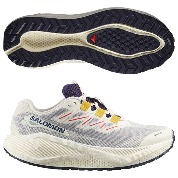 レディース エアロブレイズ 3 グラベル GORE-TEX

l47974100
バニラアイス×アストラルオーラ