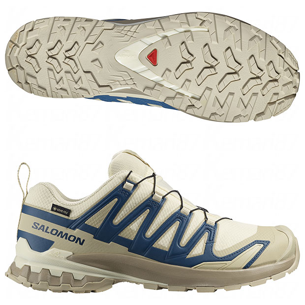 エックスエー プロ 3D V9 GORE-TEX XA PRO 3D V9 GORE-TEX

l47987500
トランスペアレントイエロー×ジブラルタルシー