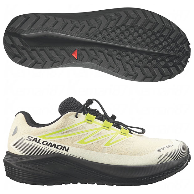 エアロフロー グラベル AERO FLOW GRVL GORE-TEX

l49256600
バニラアイス×ブラック