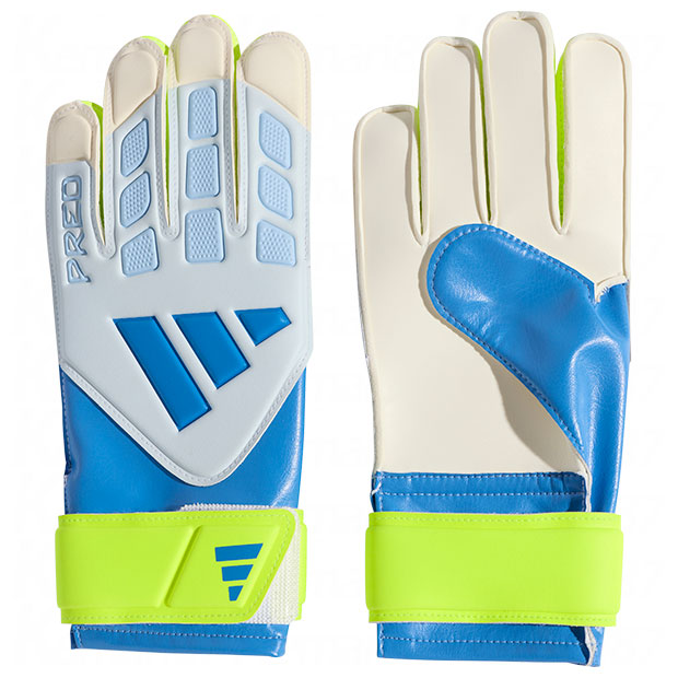 ジュニア プレデター GKグローブ トレーニング

mcc43-ka7793
レイブルー×クリスタルスカイ