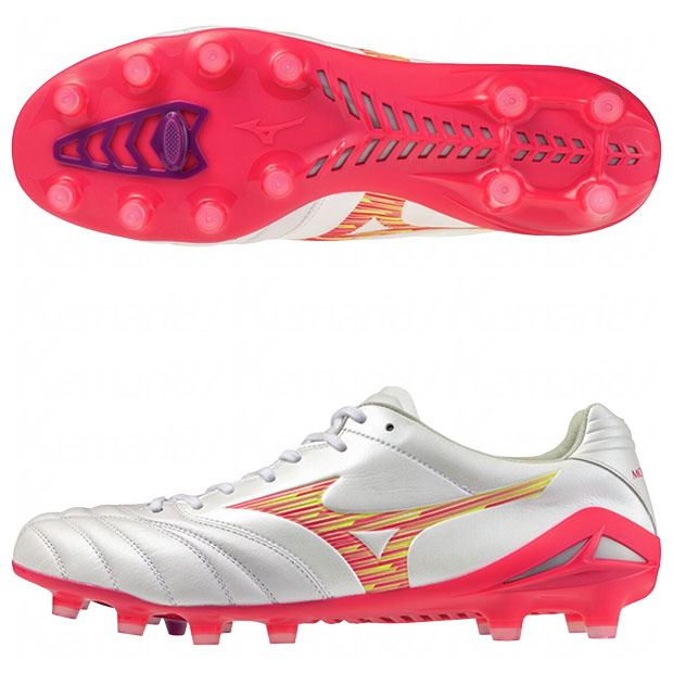 モナルシーダ NEO 3 ELITE

p1ga262064
スーパーホワイトパール×ピンク