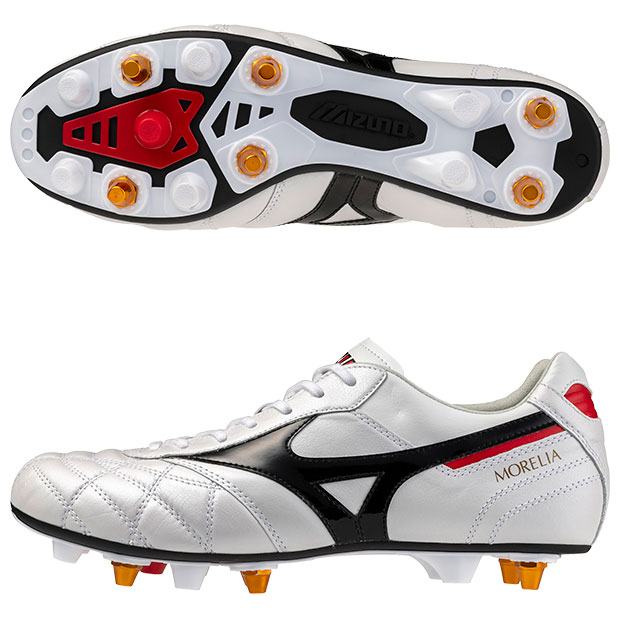 モレリア 2 JAPAN MIX

p1gc260209
スーパーホワイトパール×ブラック