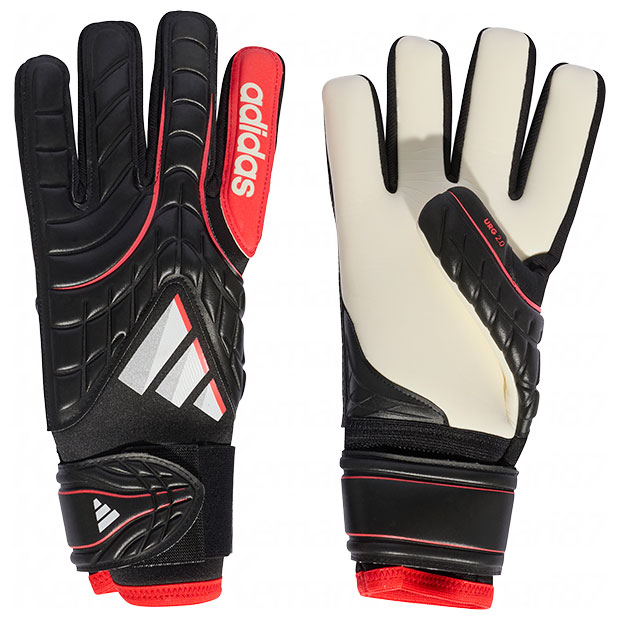 コパ GKグローブ プロ

ru098-ka7802
ブラック×ルシッドレッド