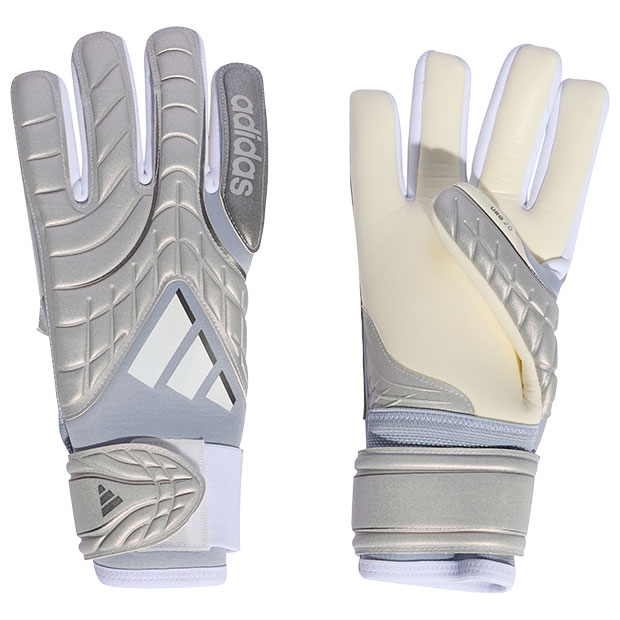 コパ GKグローブ プロ

ru098-ka7803
グローリーグレー×ルシッドアクアマリン