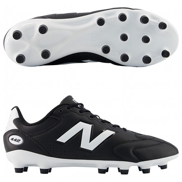 442 V3 TEAM HG/AG 2E

u43h6do2e
ブラック