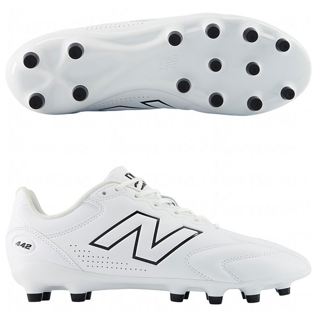 442 V3 TEAM HG/AG 4E

u43h7cx4e
ホワイト