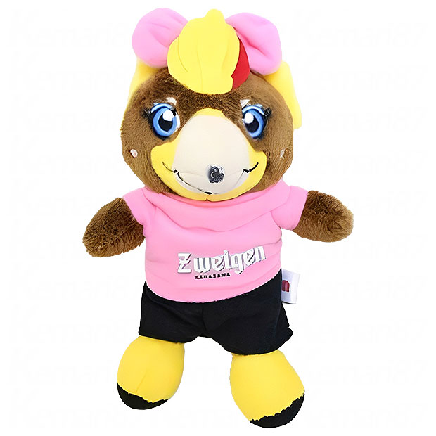 ツエーゲン金沢 マスコットキーホルダー ナンシー

zk-26-key-3
