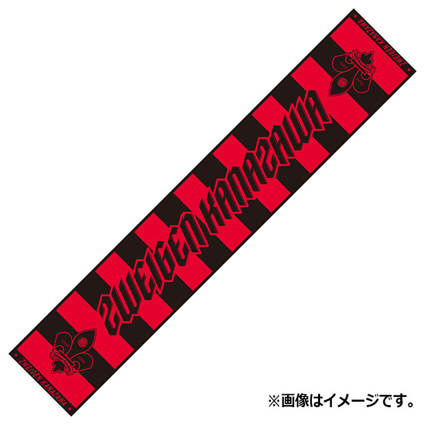 ツエーゲン金沢 タオルマフラー ボーダー

zk-26-towelm-1
