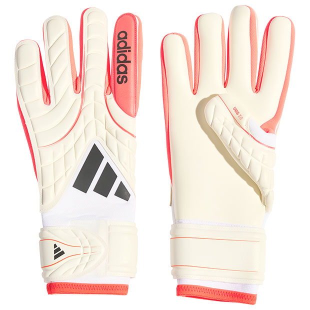 コパ GKグローブ リーグ

zk550-ka7810
ホワイト×ルシッドレッド