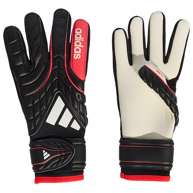 コパ GKグローブ リーグ

zk550-ka7811
ブラック×ルシッドレッド