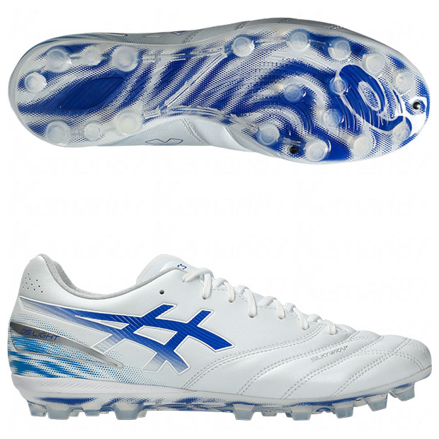 DSライト プロ AG